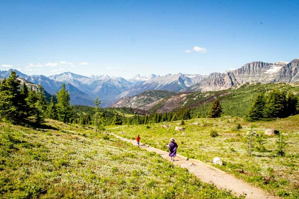 kids on hiking trail at Sunshine Meadows in Banff National Park