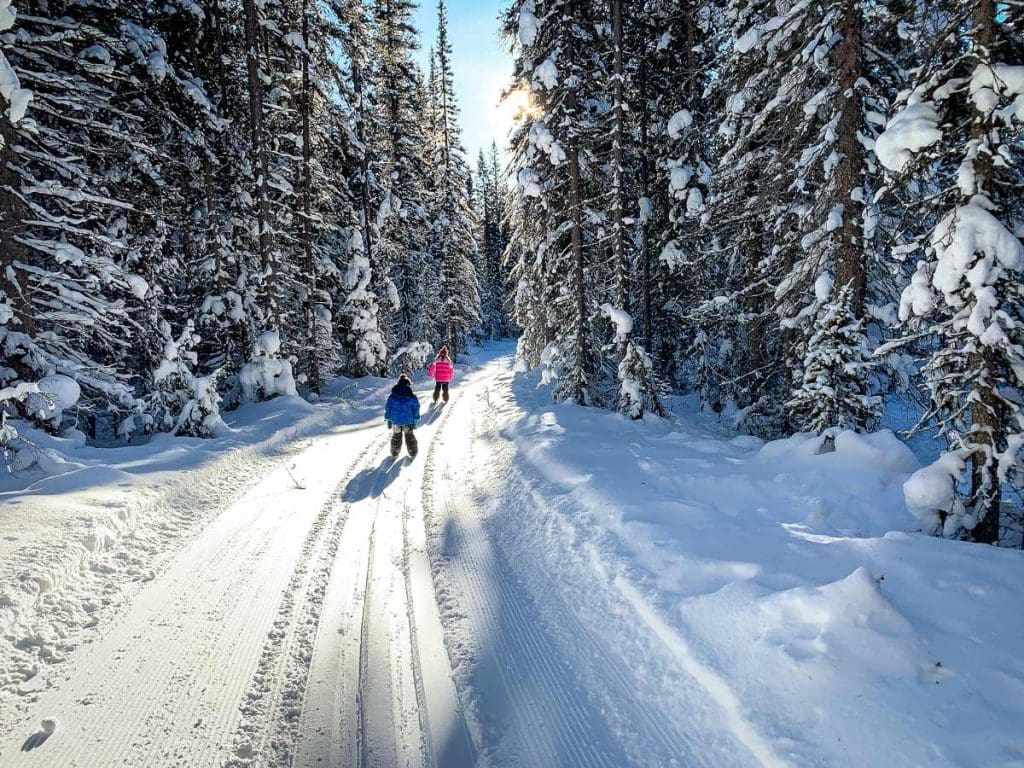 two kids cross country skiing in Banff National Park.