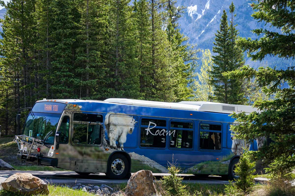 blue roam bus at Lake Minnewanka in Banff.