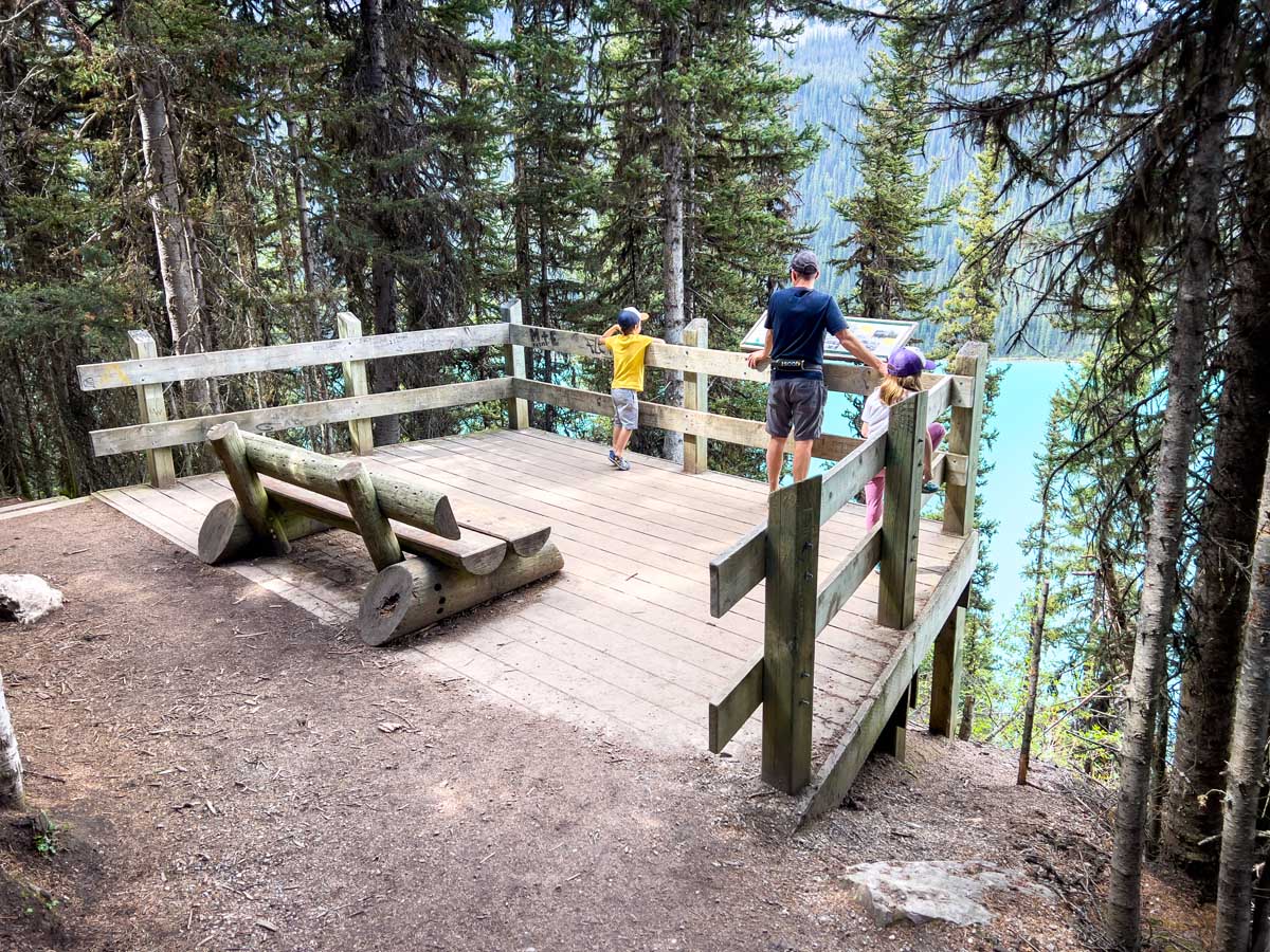 Fairview Lookout hike at Lake Louise