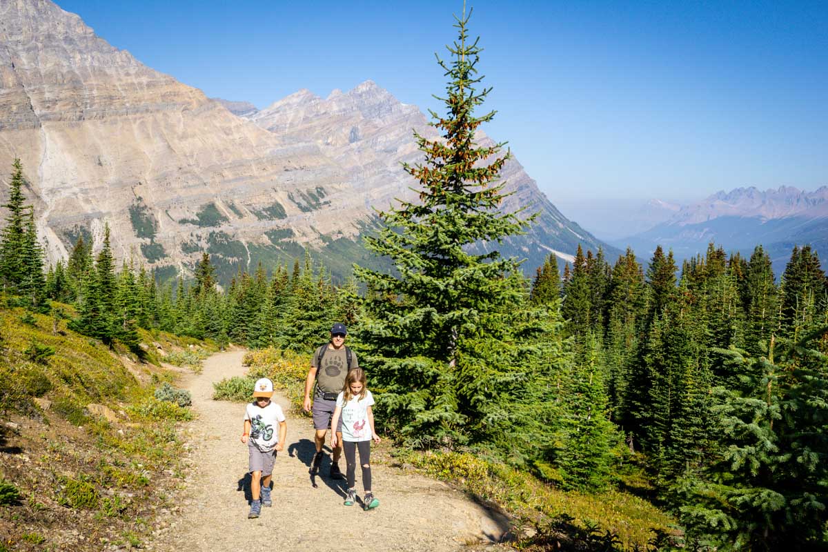 Hiking to Bow Summit Viewpoint on Icefields Parkway with Kids
