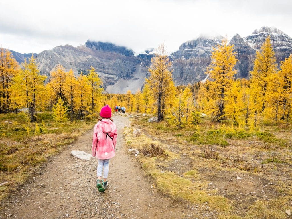 Larch Valley - Banff larch hikes with kids