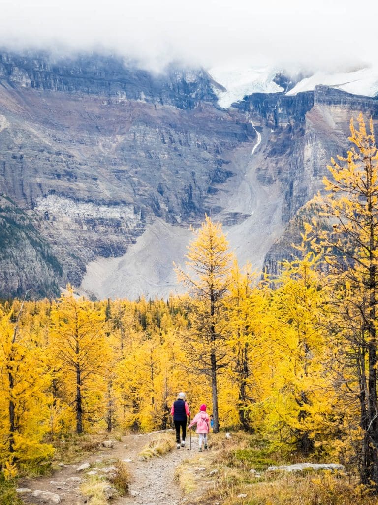 Hiking Larch Valley With Kids