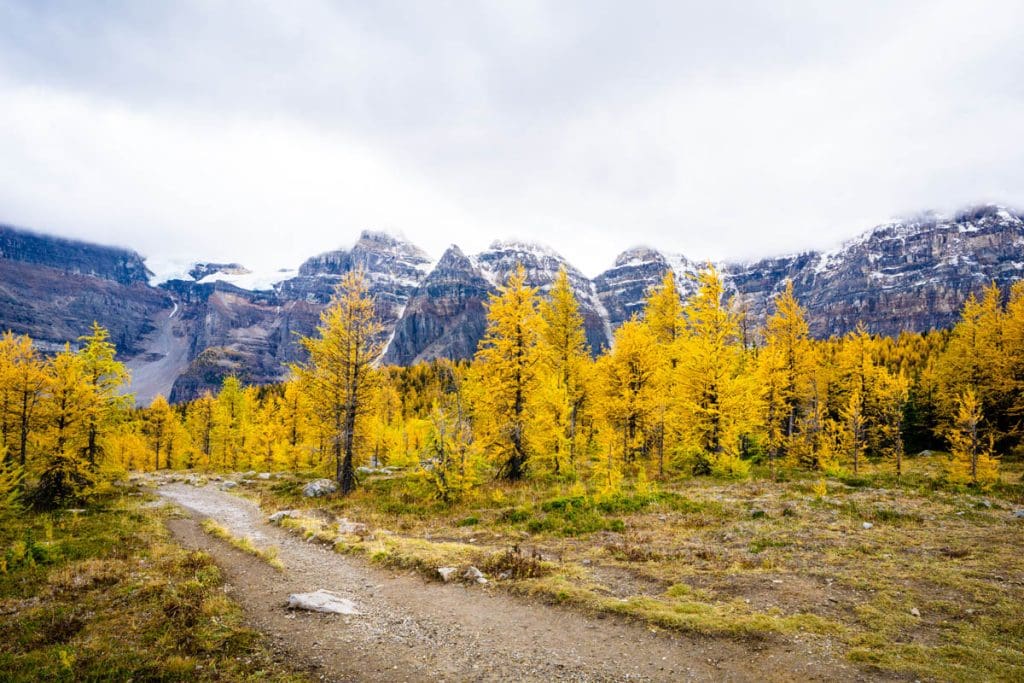 Larch Valley in Banff National Park