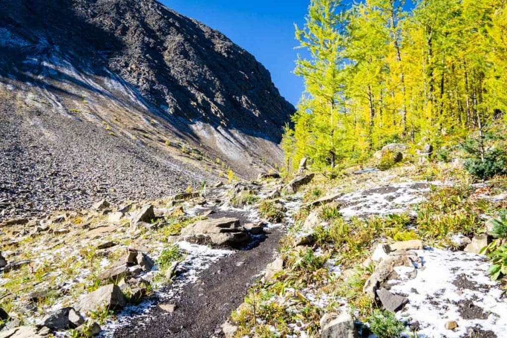 Pocaterra Cirque - Kananaskis Larch hikes