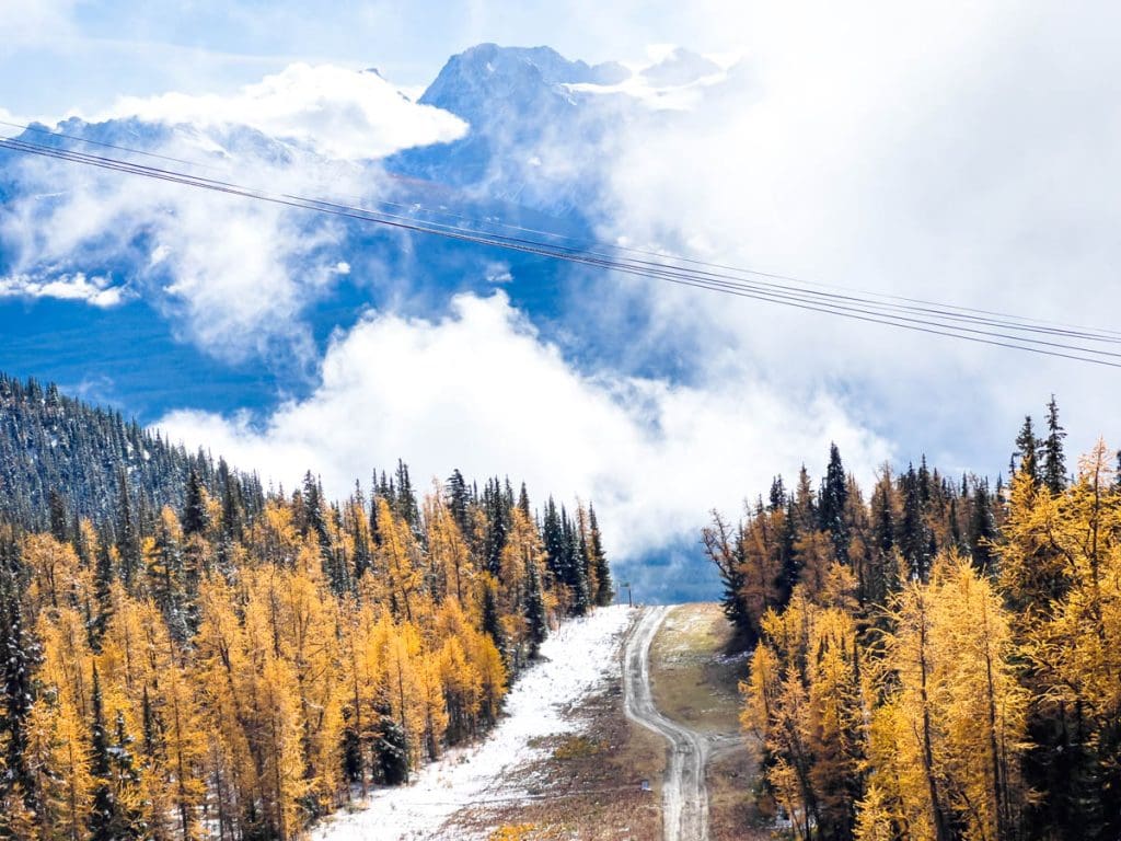 easy larch hike at Lake Louise ski resort