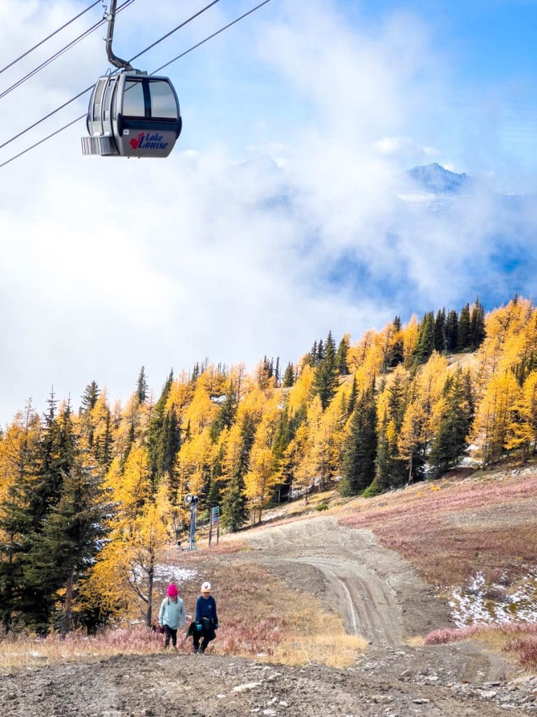 easy larch hikes with kids