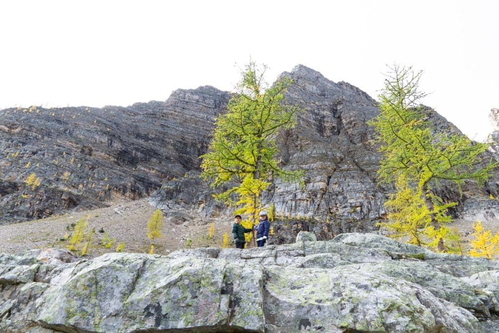 hiking Big Beehive with Kids